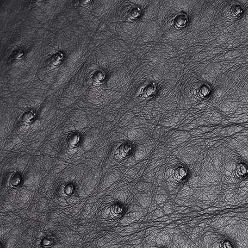 Hongqiangyin Ostrich Leather Long Men`s Wallet