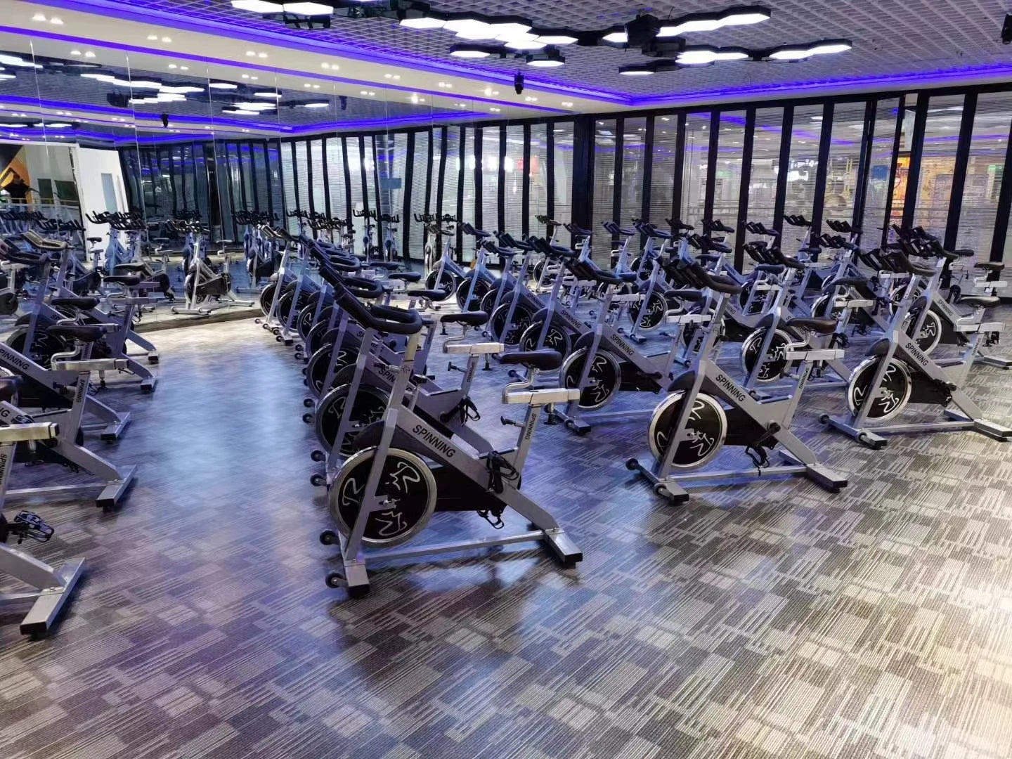 Silent Commercial Grade Home Gym Bike Fitness Equipment- Star Trac Dynamic Bike Sports Shaper Exercise Machine