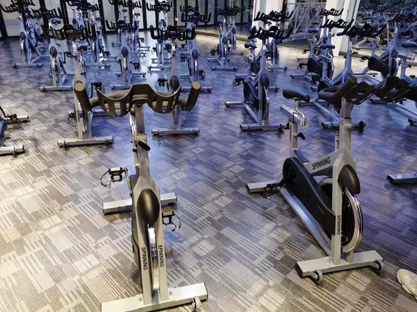 Silent Commercial Grade Home Gym Bike Fitness Equipment- Star Trac Dynamic Bike Sports Shaper Exercise Machine